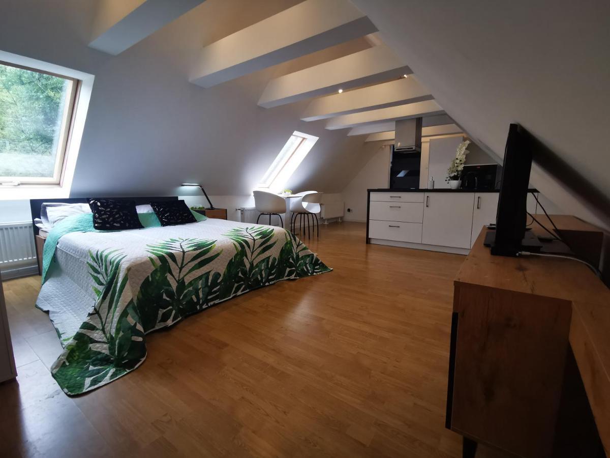 Chillout Apart In The Attic Apartment ลโวเว็ค ชล็องสกี ภายนอก รูปภาพ